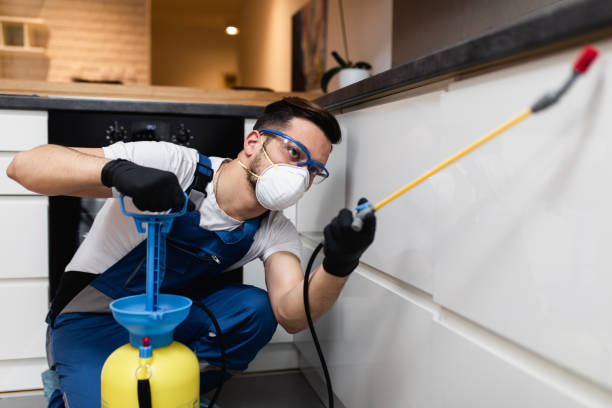 Best Affordable Pest Control Services  in Mcgaheysville, VA