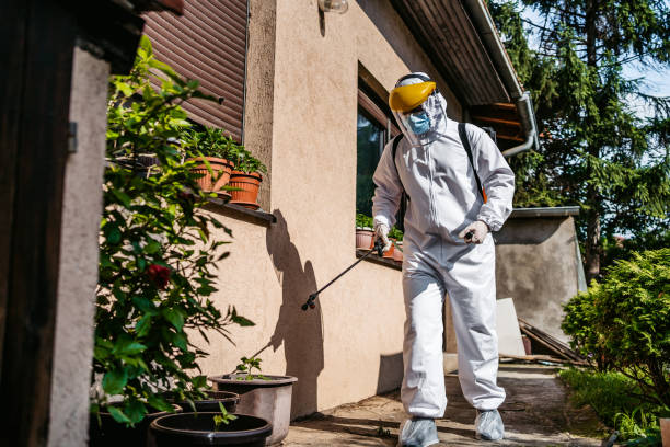 Best Best Pest Control Companies  in Mcgaheysville, VA