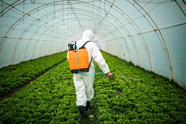 Best Residential Pest Control  in Mcgaheysville, VA