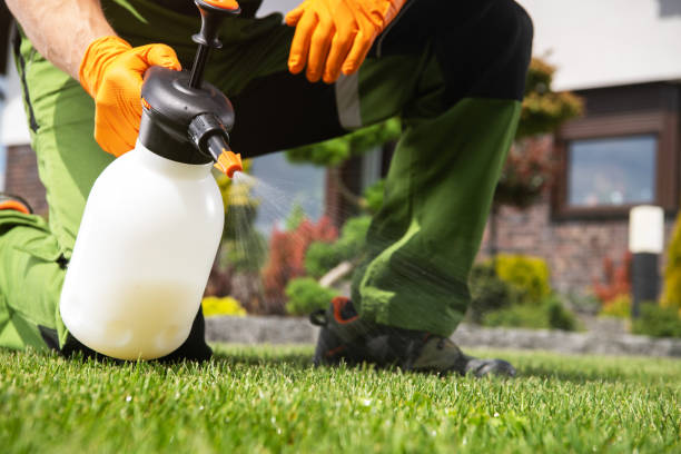 Best Affordable Pest Control Services  in Mcgaheysville, VA