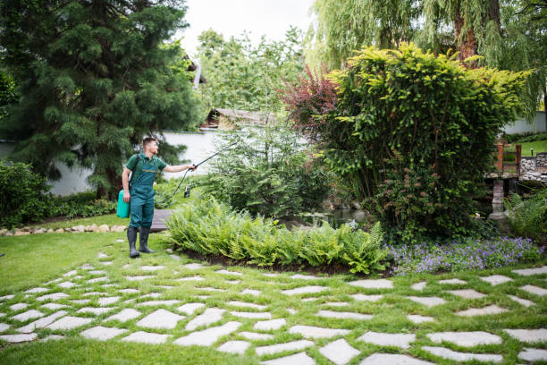 Best Commercial Pest Control Services  in Mcgaheysville, VA