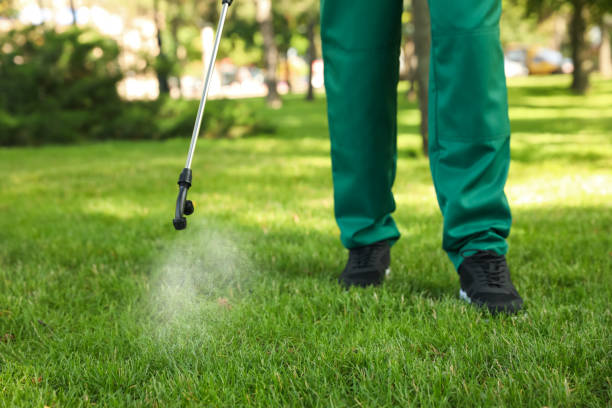 Best Insect Control  in Mcgaheysville, VA