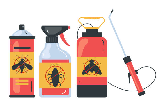 Best Termite Control Services  in Mcgaheysville, VA