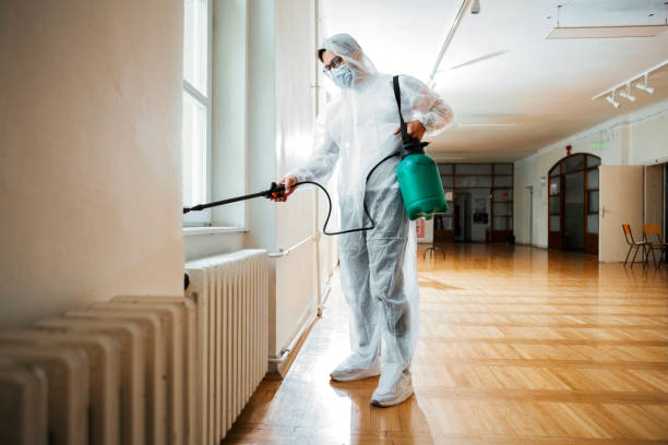 Trusted Mcgaheysville, VA Pest Control Experts